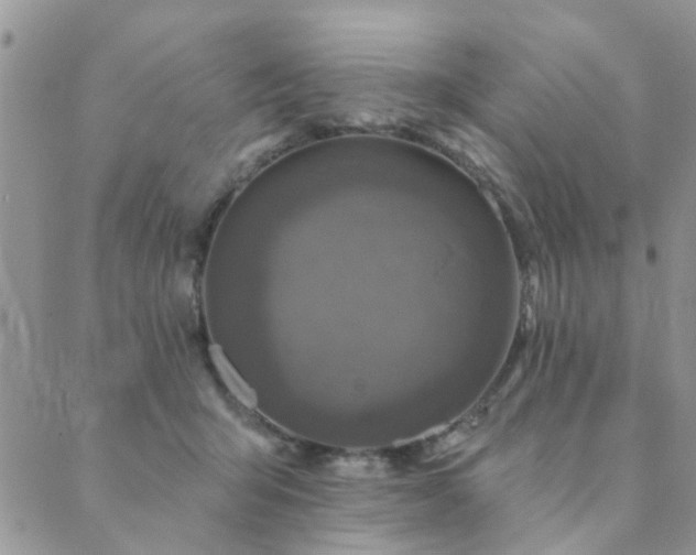 X0000089700415200706211323