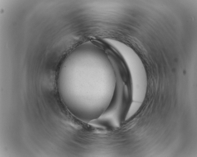 X0000089700416200706211323