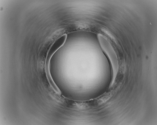 X0000089700417200706211323