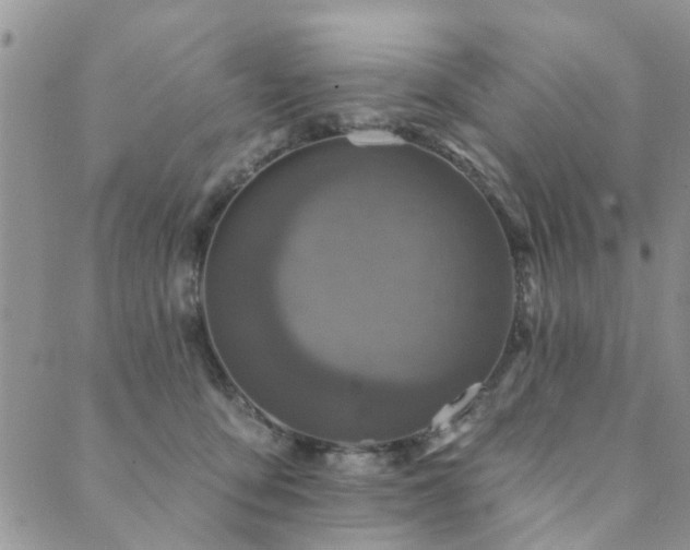 X0000089700419200706211323