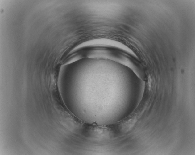 X0000089700420200706211323