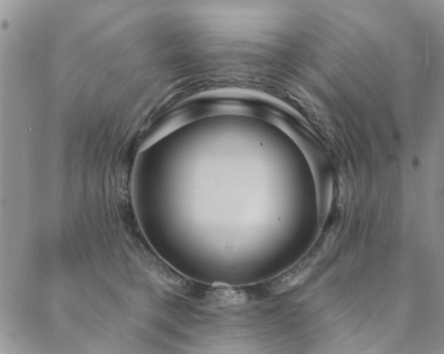 X0000089700421200706211323