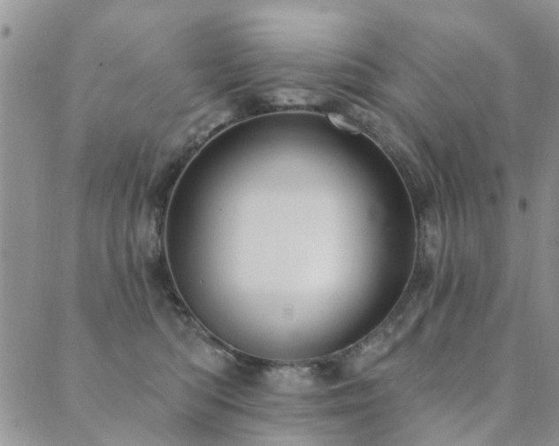 X0000089700422200706211323