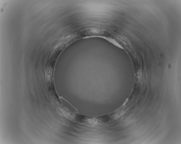 X0000089700423200706211323