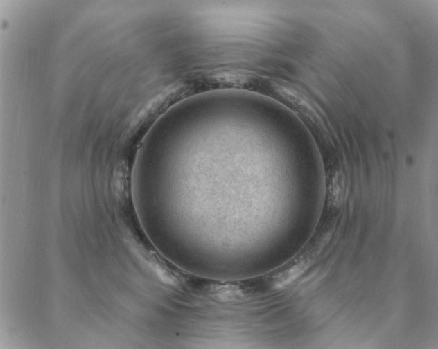 X0000089700424200706211323