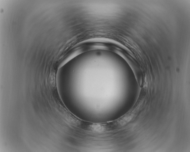 X0000089700425200706211323