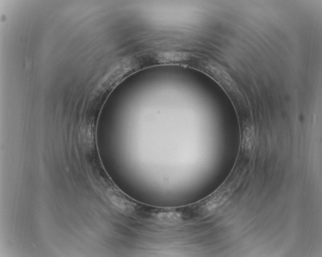 X0000089700426200706211323