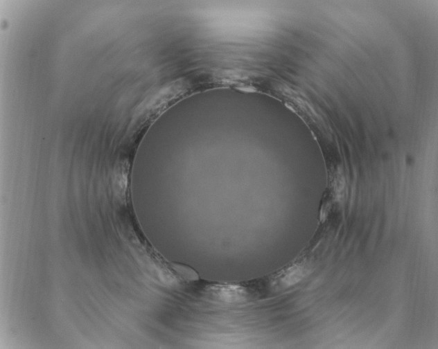 X0000089700427200706211323