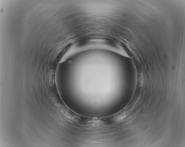 X0000089700428200706211323