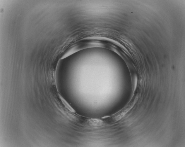 X0000089700429200706211323