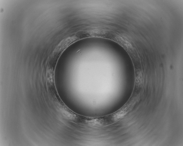 X0000089700430200706211323