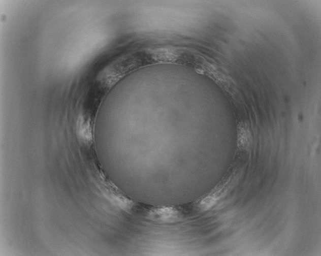 X0000089700431200706211323