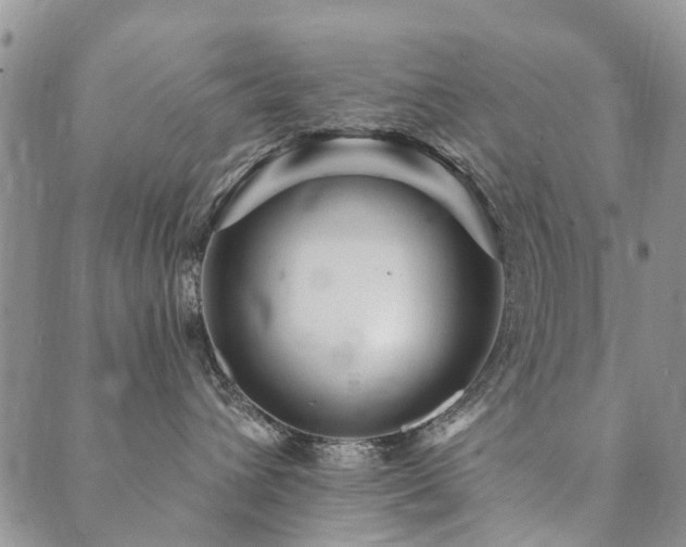 X0000089700432200706211323