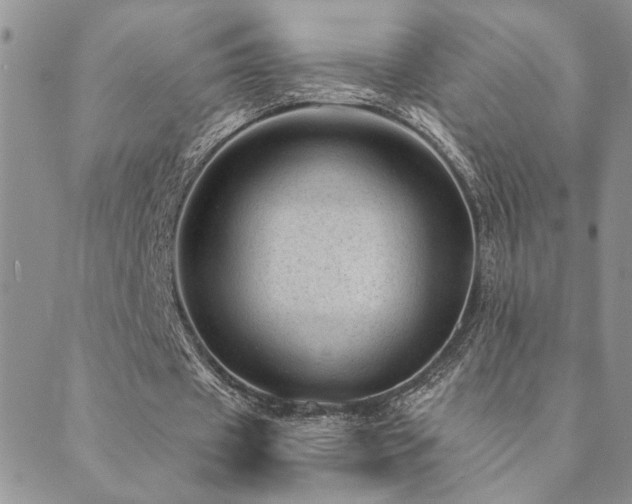 X0000089700433200706211322