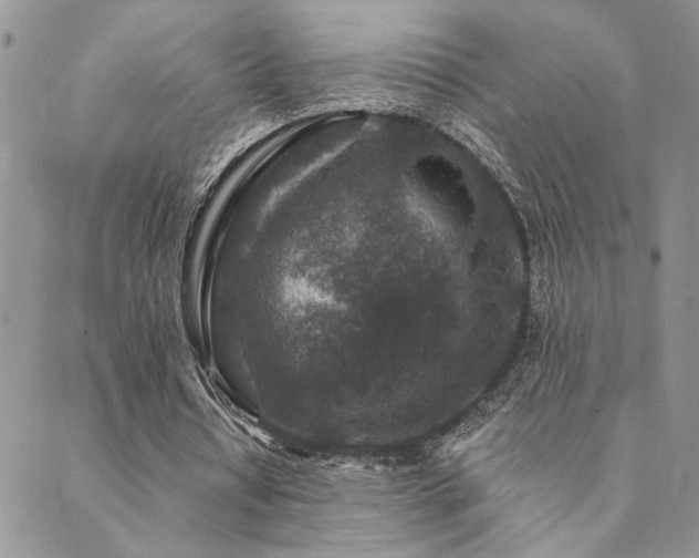 X0000089700434200706211322