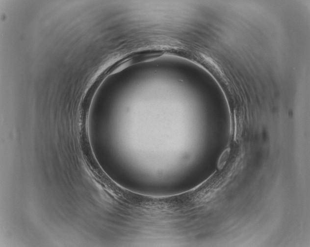 X0000089700435200706211322