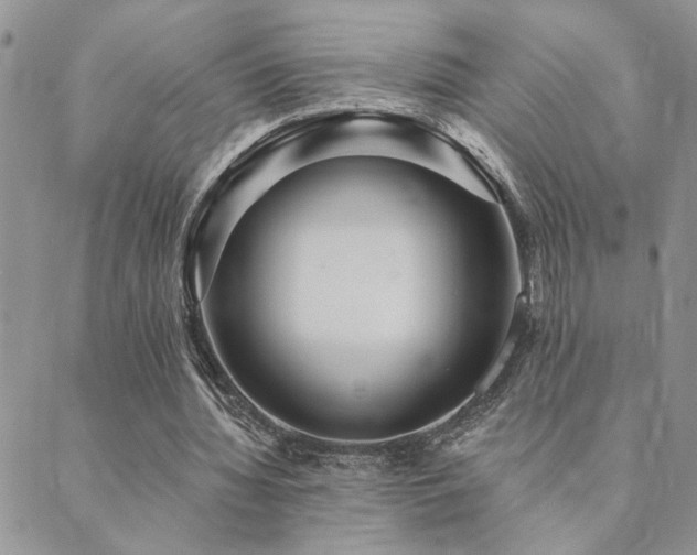 X0000089700436200706211322