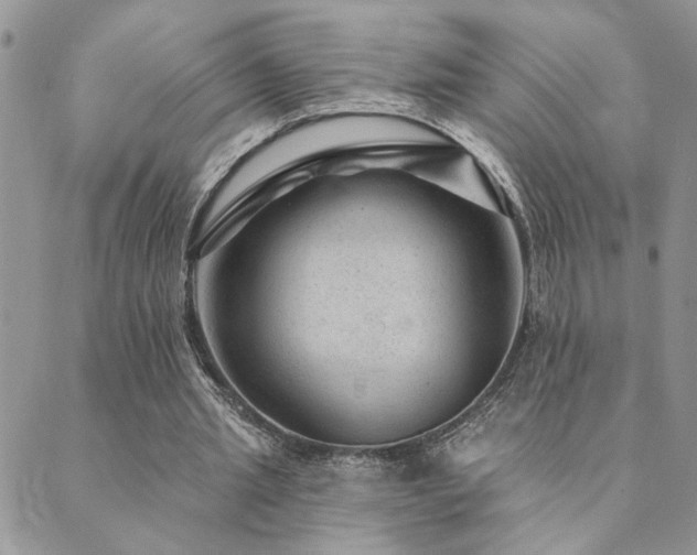 X0000089700437200706211322