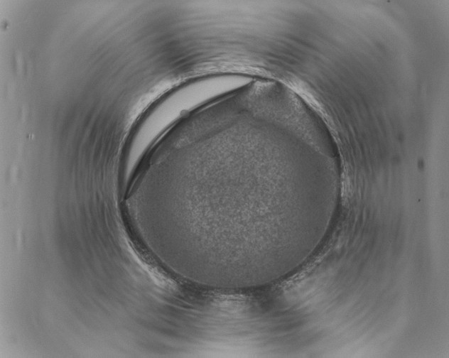 X0000089700438200706211322