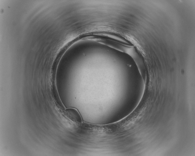 X0000089700439200706211322