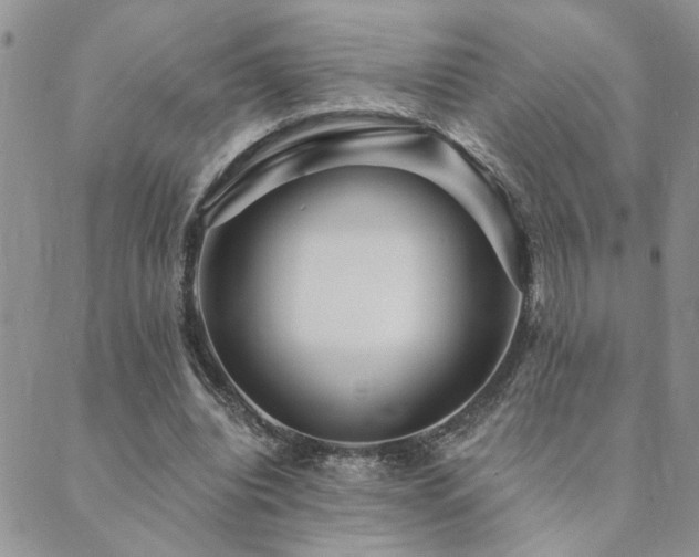 X0000089700440200706211322