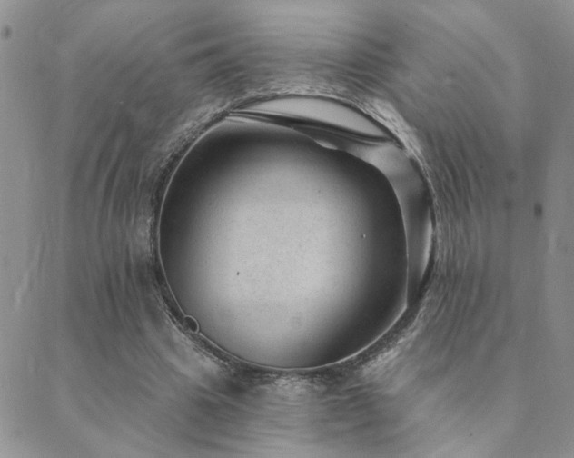 X0000089700441200706211322