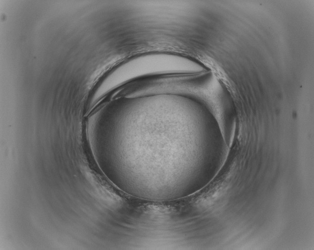 X0000089700442200706211322