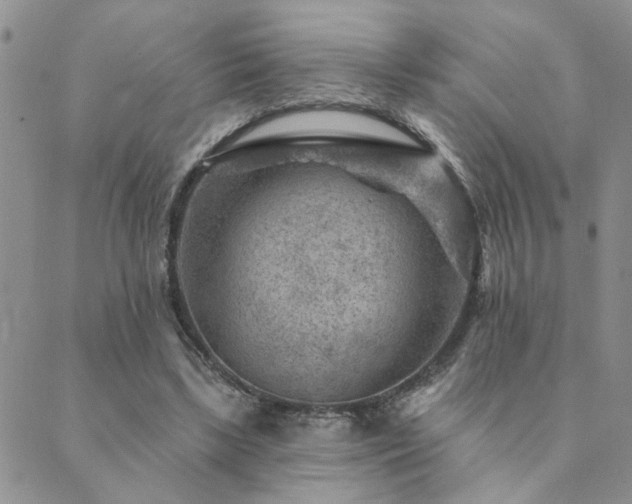 X0000089700443200706211322