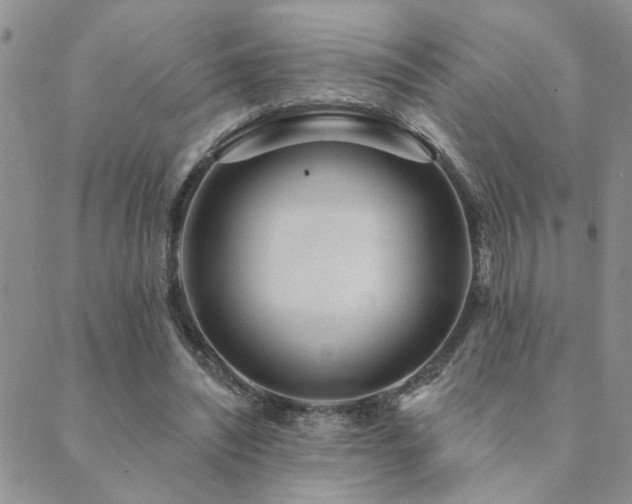 X0000089700444200706211322