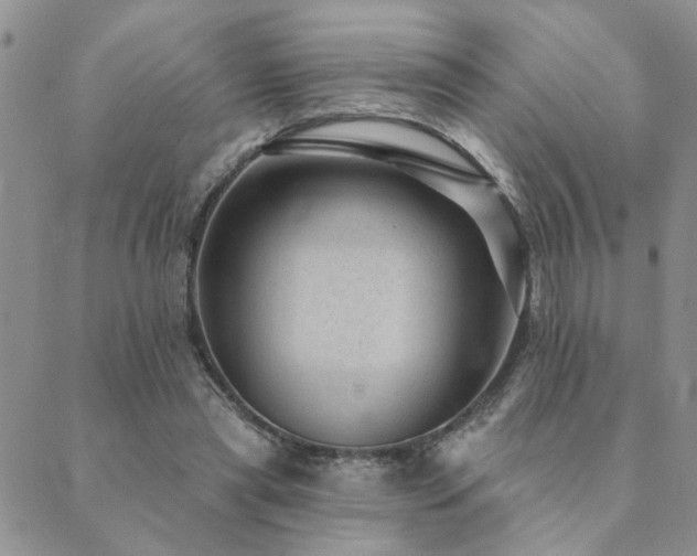 X0000089700445200706211322