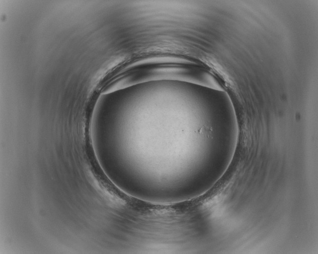 X0000089700446200706211322