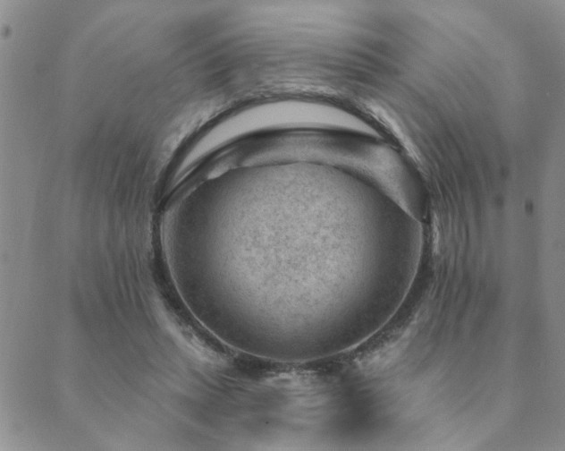 X0000089700447200706211322