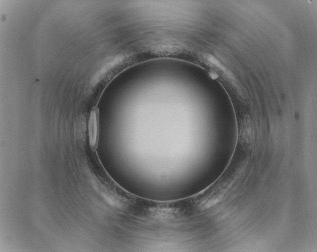 X0000089700448200706211322