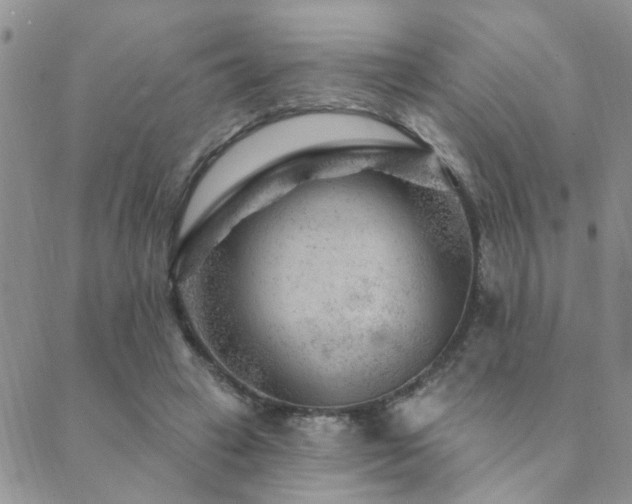 X0000089700449200706211322