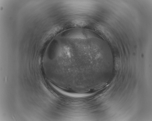 X0000089700451200706211322