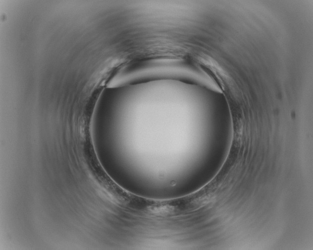 X0000089700452200706211322