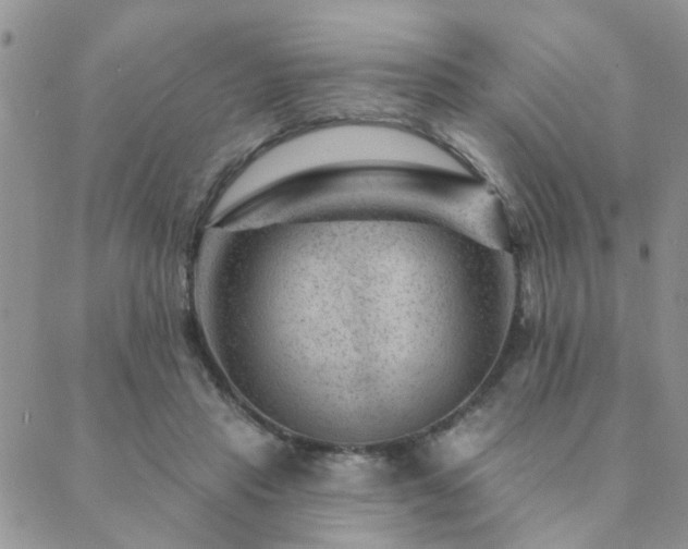 X0000089700453200706211322