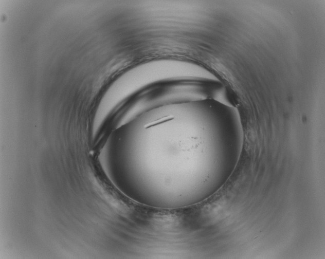 X0000089700454200706211322