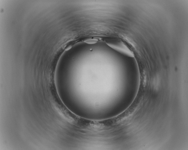 X0000089700455200706211322