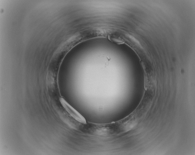 X0000089700456200706211322