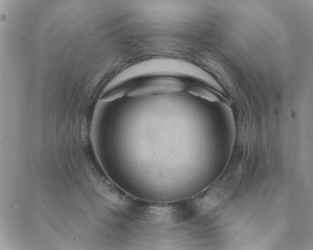 X0000089700457200706211322