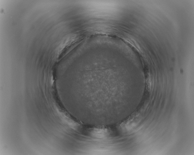 X0000089700458200706211322