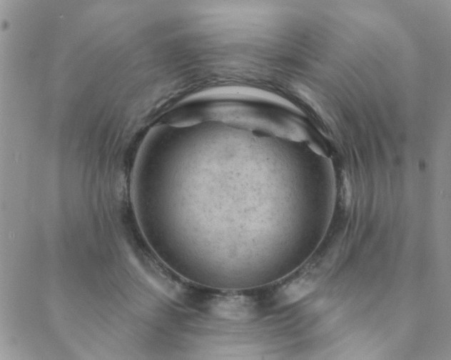 X0000089700459200706211322