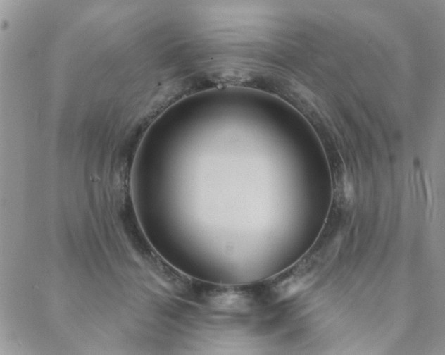 X0000089700460200706211322