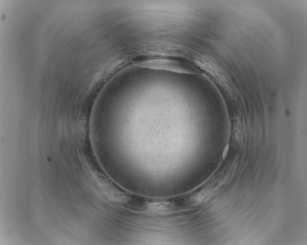 X0000089700461200706211322