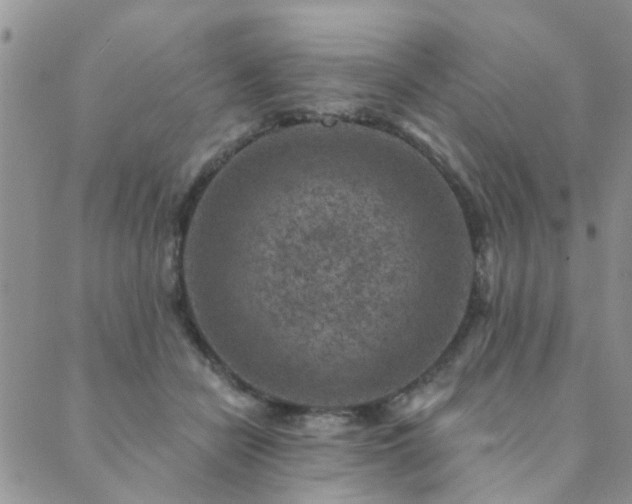 X0000089700462200706211322