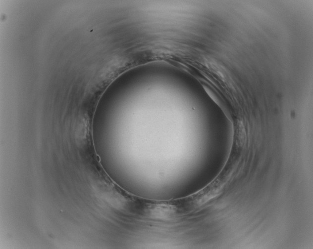 X0000089700463200706211322