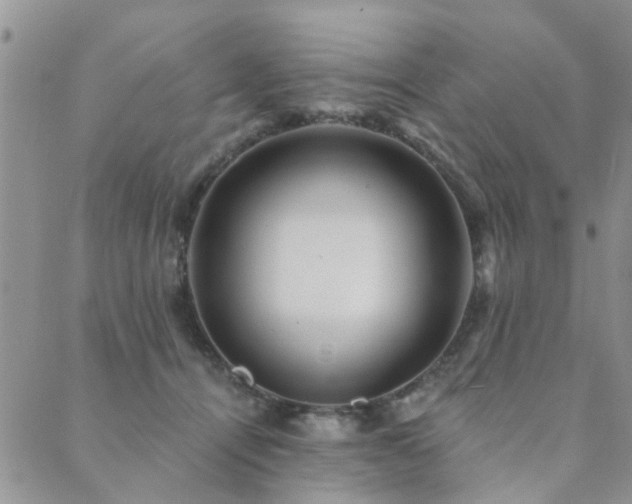 X0000089700464200706211322