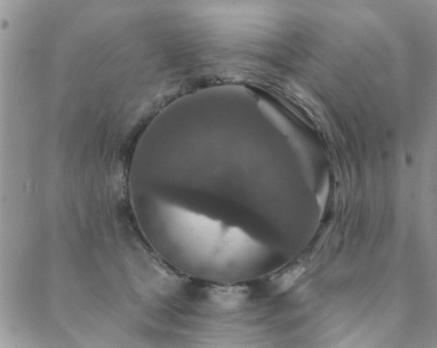 X0000089700465200706211322