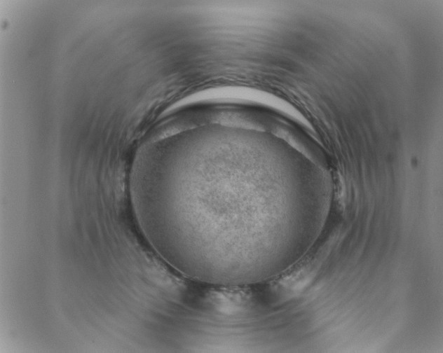 X0000089700466200706211322